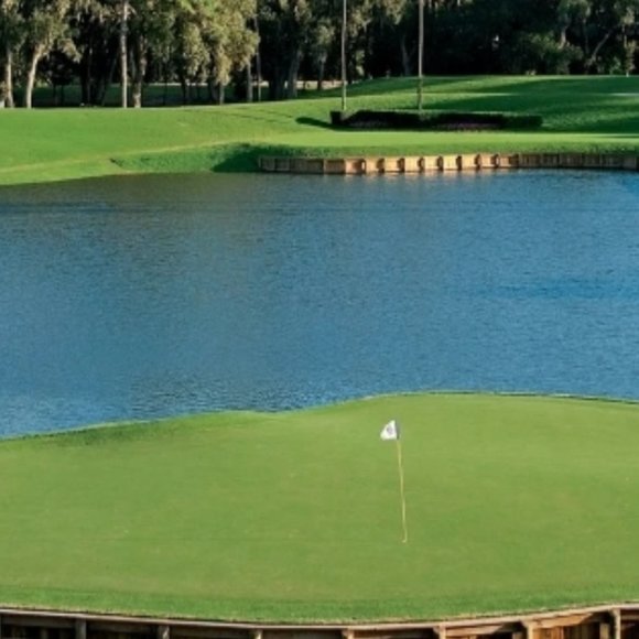 Meet your Posher, Sports Fan - Picture 2 of 3